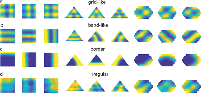Figure 2 for Emergence of grid-like representations by training recurrent neural networks to perform spatial localization