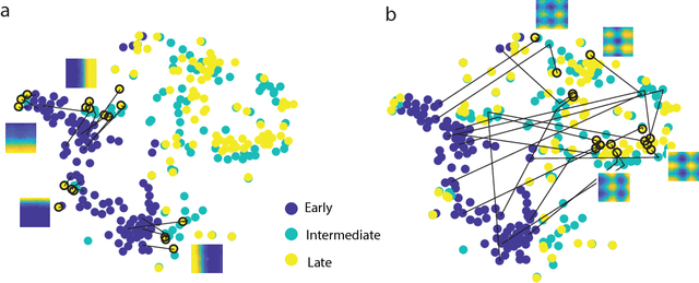Figure 4 for Emergence of grid-like representations by training recurrent neural networks to perform spatial localization