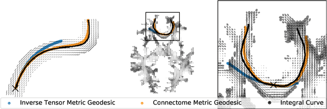 Figure 1 for Structural Connectome Atlas Construction in the Space of Riemannian Metrics