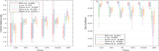 Figure 4 for Pathological OCT Retinal Layer Segmentation using Branch Residual U-shape Networks