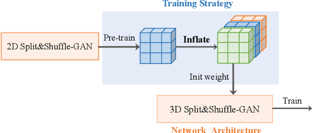 Figure 1 for Inflating 2D Convolution Weights for Efficient Generation of 3D Medical Images