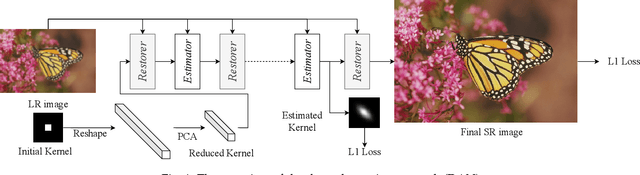 Figure 1 for End-to-end Alternating Optimization for Blind Super Resolution