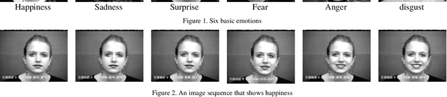 Figure 1 for What happens in Face during a facial expression? Using data mining techniques to analyze facial expression motion vectors