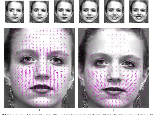 Figure 4 for What happens in Face during a facial expression? Using data mining techniques to analyze facial expression motion vectors