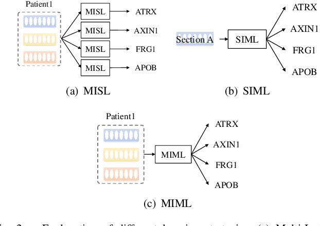 Figure 2 for Multi-Instance Multi-Label Learning for Gene Mutation Prediction in Hepatocellular Carcinoma