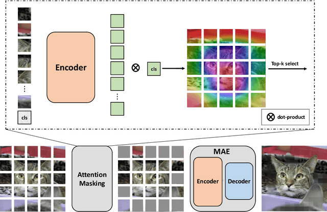 Figure 1 for Masked Autoencoders are Robust Data Augmentors