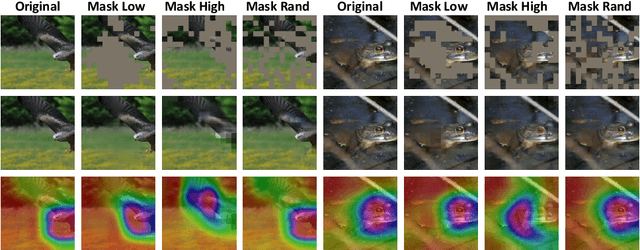 Figure 4 for Masked Autoencoders are Robust Data Augmentors