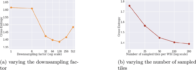 Figure 4 for Sparse convolutional context-aware multiple instance learning for whole slide image classification