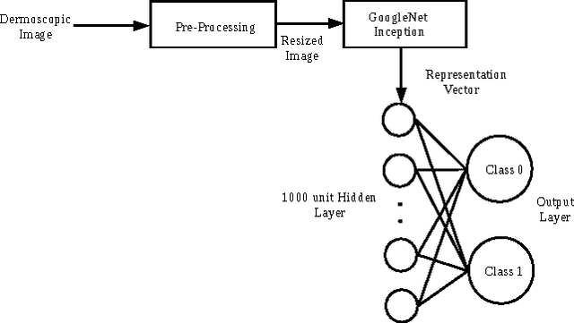 Figure 1 for Deep Learning for Skin Lesion Classification