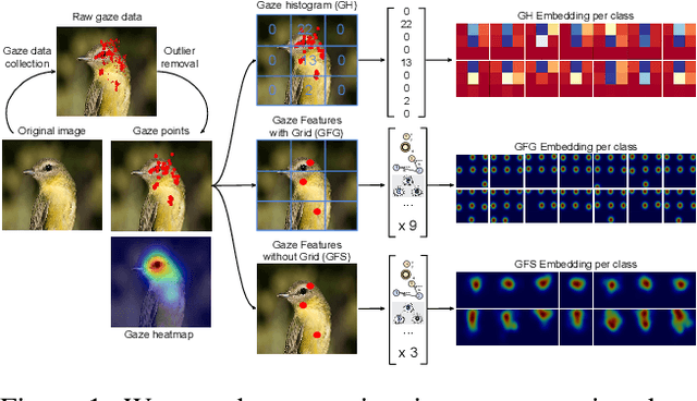 Figure 1 for Gaze Embeddings for Zero-Shot Image Classification