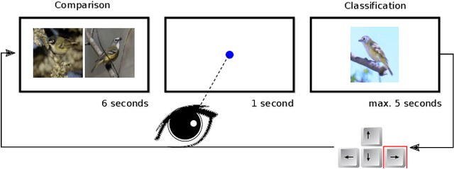 Figure 3 for Gaze Embeddings for Zero-Shot Image Classification