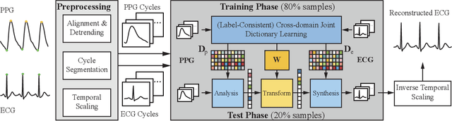 Figure 1 for Cross-domain Joint Dictionary Learning for ECG Inference from PPG