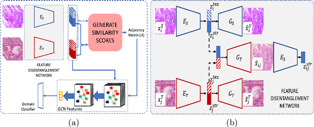 Figure 1 for Unsupervised Domain Adaptation Using Feature Disentanglement And GCNs For Medical Image Classification
