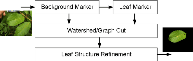 Figure 1 for Automatic Leaf Extraction from Outdoor Images
