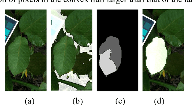 Figure 2 for Automatic Leaf Extraction from Outdoor Images
