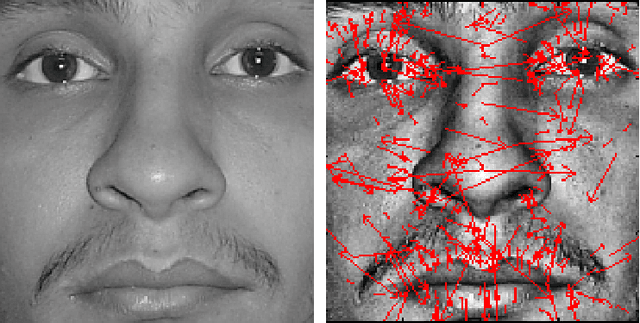 Figure 1 for Feature Level Fusion of Face and Palmprint Biometrics by Isomorphic Graph-based Improved K-Medoids Partitioning