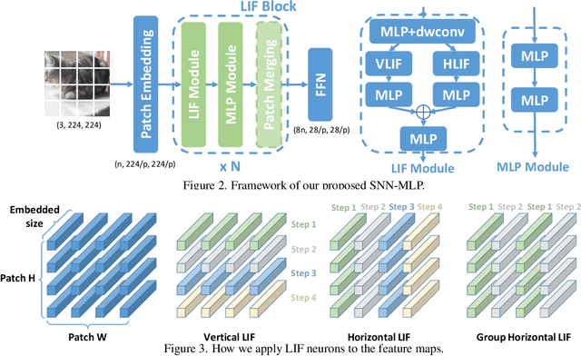 Figure 4 for Brain-inspired Multilayer Perceptron with Spiking Neurons