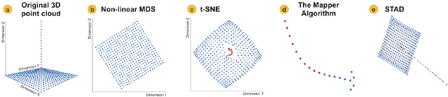 Figure 1 for Improving the Projection of Global Structures in Data through Spanning Trees