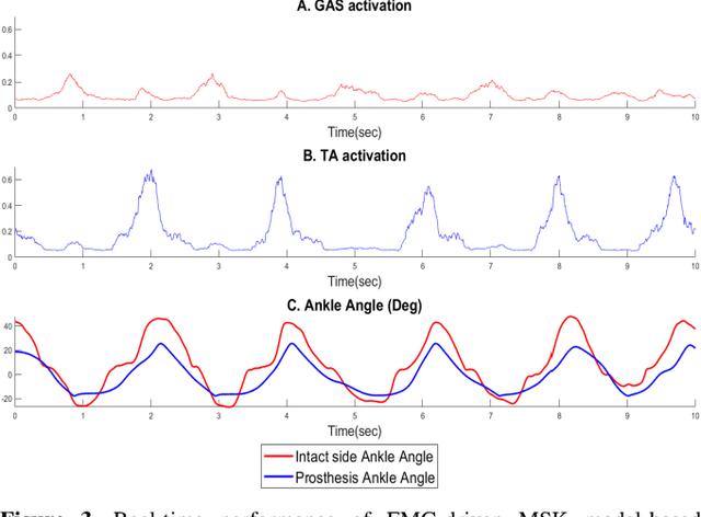 Figure 3 for Design of EMG-driven Musculoskeletal Model for Volitional Control of a Robotic Ankle Prosthesis