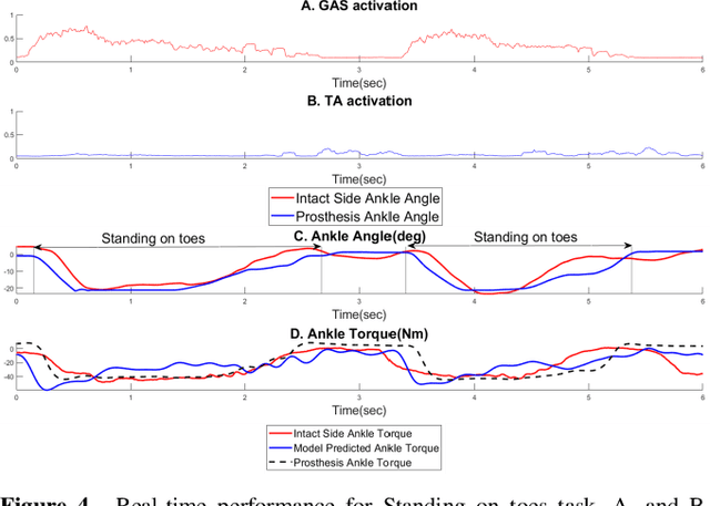 Figure 4 for Design of EMG-driven Musculoskeletal Model for Volitional Control of a Robotic Ankle Prosthesis