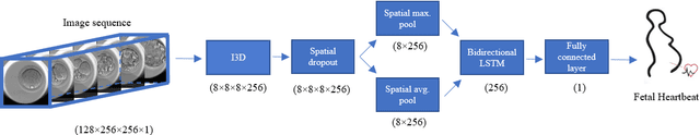 Figure 2 for Robust and generalizable embryo selection based on artificial intelligence and time-lapse image sequences