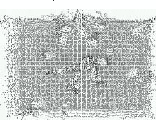 Figure 1 for A Model-Based Approach to Predicting Predator-Prey & Friend-Foe Relationships in Ant Colonies