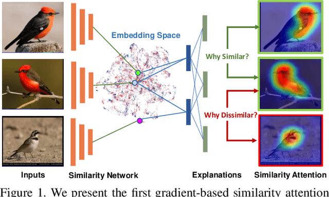 Figure 1 for Learning Similarity Attention