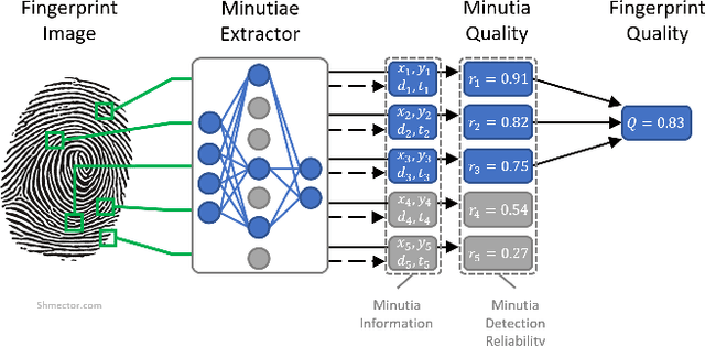 Figure 1 for MiDeCon: Unsupervised and Accurate Fingerprint and Minutia Quality Assessment based on Minutia Detection Confidence