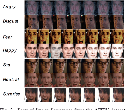 Figure 2 for Training Deep Neural Networks with Different Datasets In-the-wild: The Emotion Recognition Paradigm