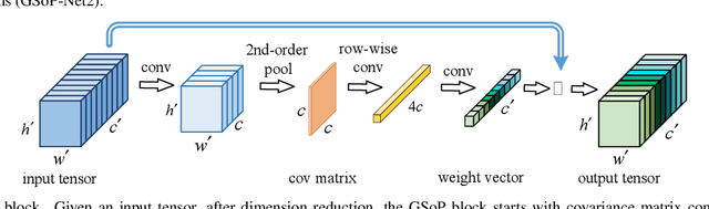 Figure 2 for Global Second-order Pooling Convolutional Networks