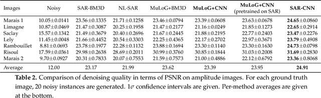 Figure 4 for SAR Image Despeckling by Deep Neural Networks: from a pre-trained model to an end-to-end training strategy