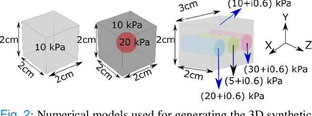 Figure 2 for Multifrequency 3D Elasticity Reconstruction withStructured Sparsity and ADMM