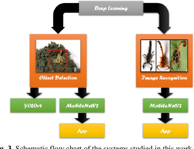 Figure 4 for Scorpion detection and classification systems based on computer vision and deep learning for health security purposes
