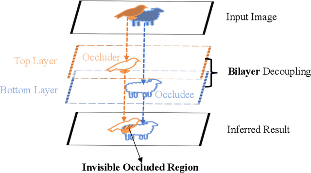Figure 1 for Occlusion-Aware Instance Segmentation via BiLayer Network Architectures