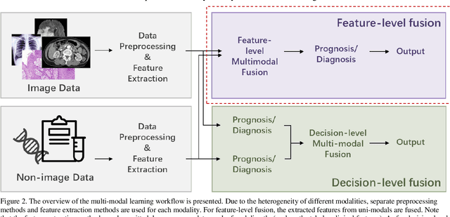 Figure 3 for Deep Multi-modal Fusion of Image and Non-image Data in Disease Diagnosis and Prognosis: A Review