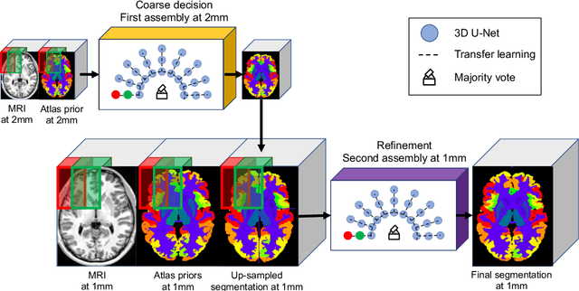 Figure 1 for AssemblyNet: A large ensemble of CNNs for 3D Whole Brain MRI Segmentation