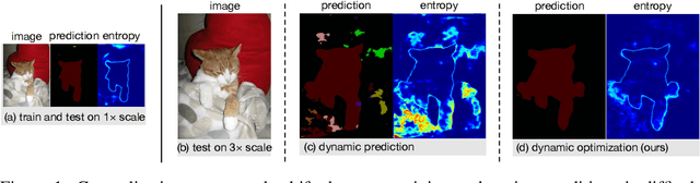 Figure 1 for Dynamic Scale Inference by Entropy Minimization