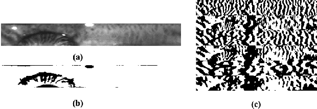 Figure 1 for Adversarial Examples to Fool Iris Recognition Systems