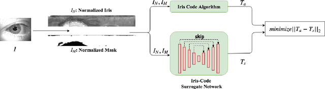 Figure 3 for Adversarial Examples to Fool Iris Recognition Systems