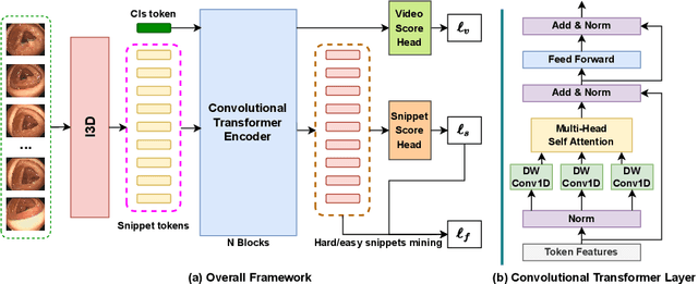 Figure 1 for Contrastive Transformer-based Multiple Instance Learning for Weakly Supervised Polyp Frame Detection