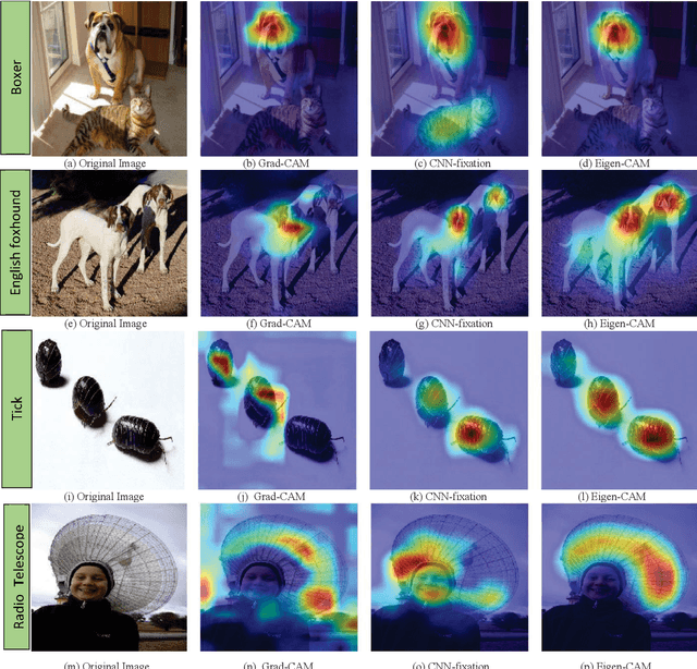 Figure 2 for Eigen-CAM: Class Activation Map using Principal Components