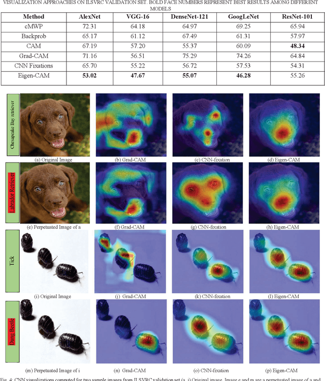 Figure 4 for Eigen-CAM: Class Activation Map using Principal Components