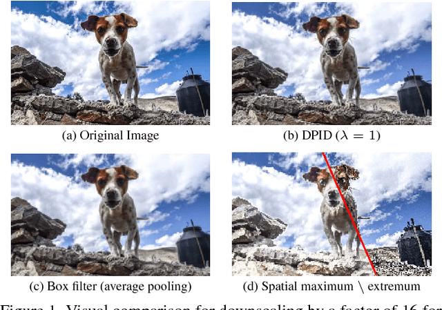 Figure 1 for Detail-Preserving Pooling in Deep Networks