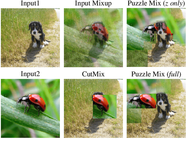 Figure 1 for Puzzle Mix: Exploiting Saliency and Local Statistics for Optimal Mixup