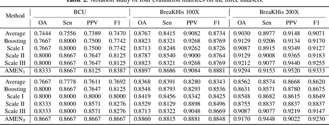 Figure 4 for Attention Model Enhanced Network for Classification of Breast Cancer Image