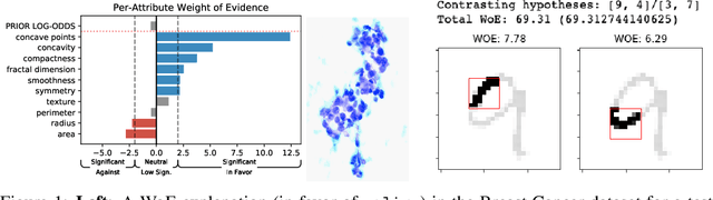 Figure 1 for Weight of Evidence as a Basis for Human-Oriented Explanations