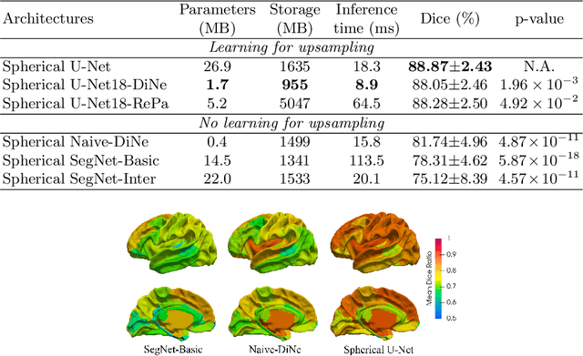 Figure 2 for Spherical U-Net on Cortical Surfaces: Methods and Applications