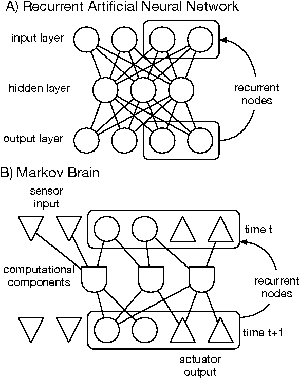 Figure 1 for Markov Brains: A Technical Introduction