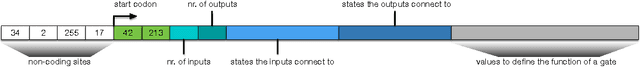 Figure 4 for Markov Brains: A Technical Introduction