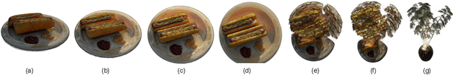 Figure 2 for Multiview Regenerative Morphing with Dual Flows